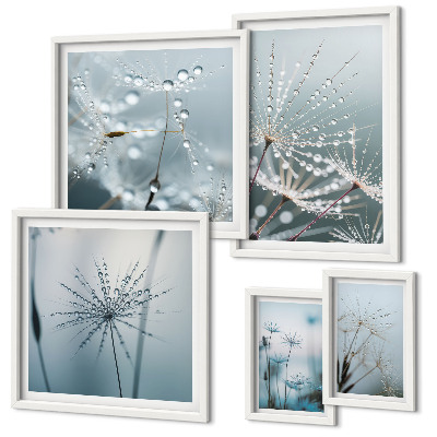 Gallery wall Water drops on plants