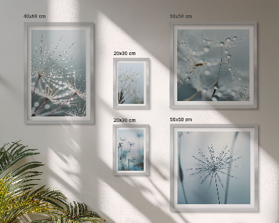 Gallery wall Water drops on plants