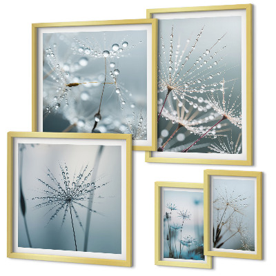 Gallery wall Water drops on plants