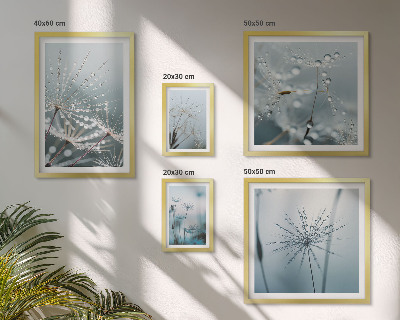 Gallery wall Water drops on plants