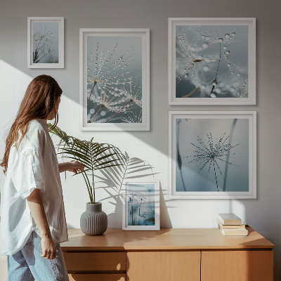 Gallery wall Water drops on plants
