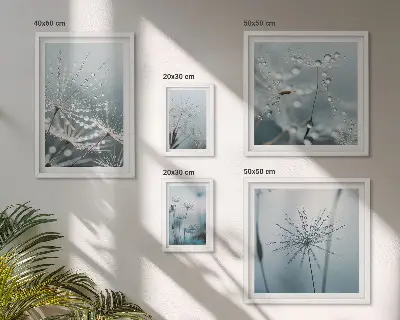 Water drops on plants gallery wall art print