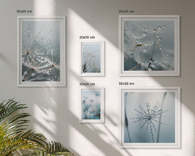 Gallery wall Water drops on plants