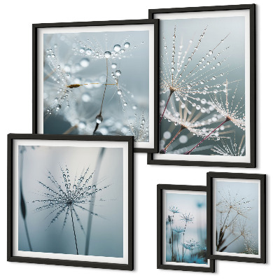 Gallery wall Water drops on plants