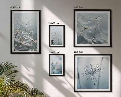 Gallery wall Water drops on plants