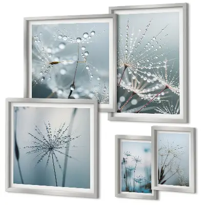 Water drops on plants gallery wall art print