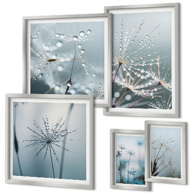 Gallery wall Water drops on plants