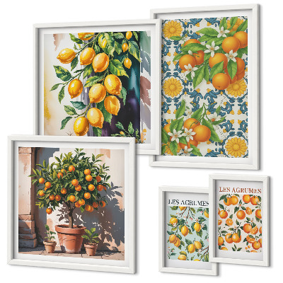 Set of 5 wall art pieces Citrus fruits flowers vintage