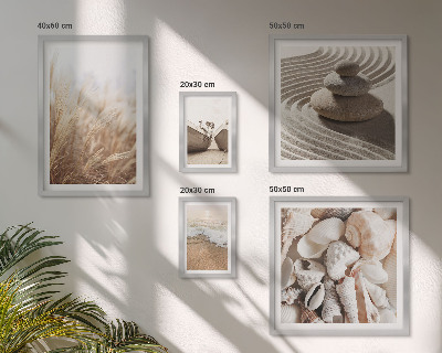 Gallery wall Seaside shells and sand