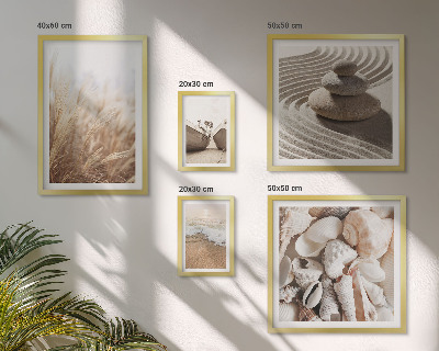 Gallery wall Seaside shells and sand