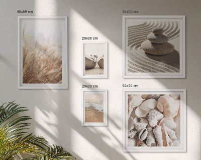 Gallery wall Seaside shells and sand