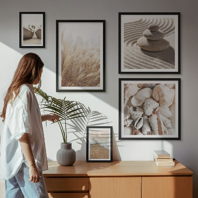 Gallery wall Seaside shells and sand