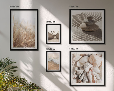 Gallery wall Seaside shells and sand