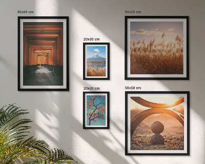 Gallery wall The tranquil zen landscapes of nature