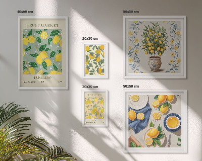 Framed photo set Citrus fresh fruit patterns