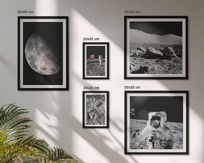 Gallery wall Astronauts' lunar landscapes