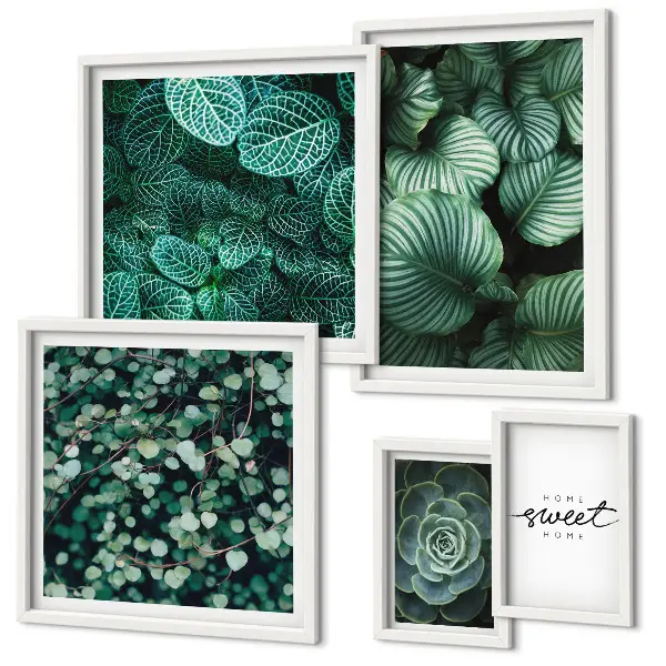 Gallery wall modern green leaves and plants