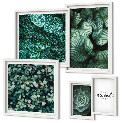 Gallery wall Green leaves modern plants