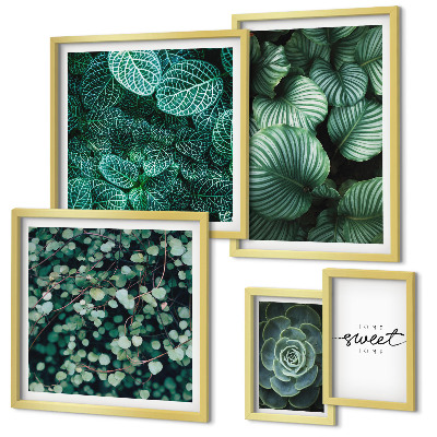 Gallery wall Green leaves modern plants