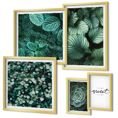 Gallery wall modern green leaves and plants