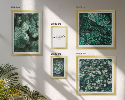 Gallery wall Green leaves modern plants