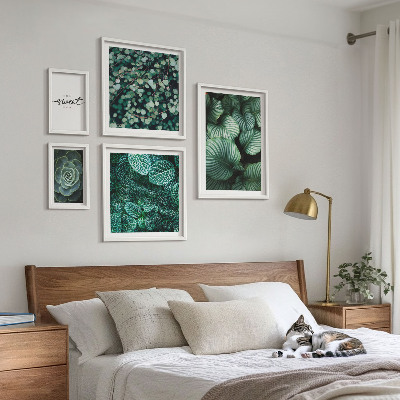 Gallery wall Green leaves modern plants