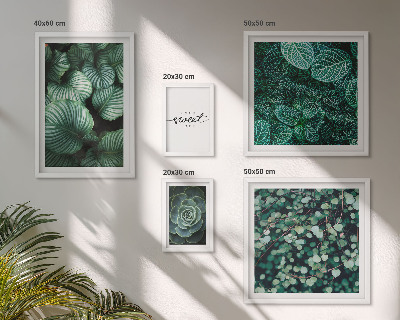 Gallery wall Green leaves modern plants