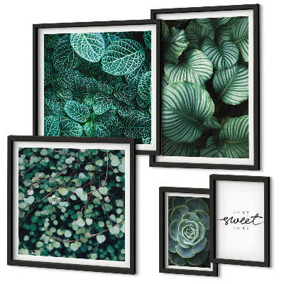 Gallery wall Green leaves modern plants