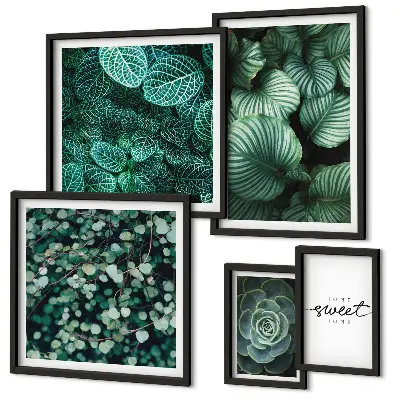 Gallery wall modern green leaves and plants