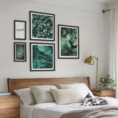 Gallery wall Green leaves modern plants