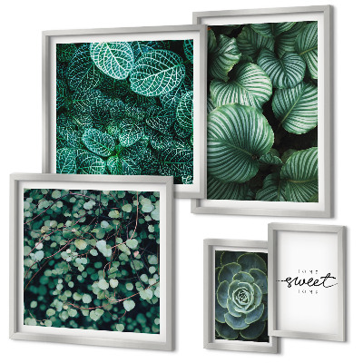 Gallery wall Green leaves modern plants