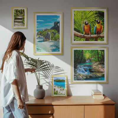 Set of 5 wall art pieces Tropical landscapes birds waterfalls
