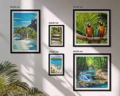 Set of 5 wall art pieces Tropical landscapes birds waterfalls