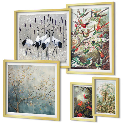 Set of 5 wall art pieces Vintage tropical birds