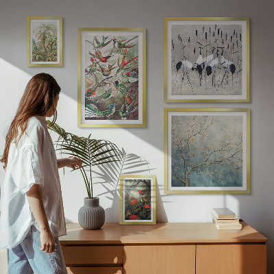Set of 5 wall art pieces Vintage tropical birds