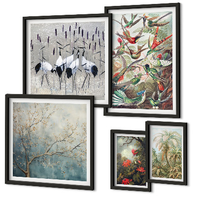 Set of 5 wall art pieces Vintage tropical birds