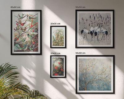 Set of 5 wall art pieces Vintage tropical birds