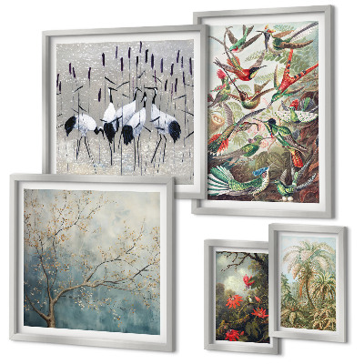 Set of 5 wall art pieces Vintage tropical birds