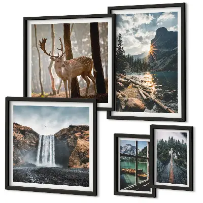 Set of 5 wall art pieces featuring landscapes, nature, waterfalls, and fauna