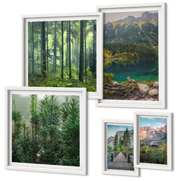 Gallery wall Mountain landscapes and forests