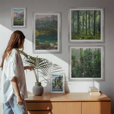 Gallery wall Mountain landscapes and forests