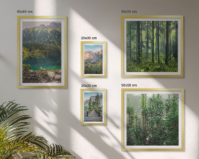 Gallery wall Mountain landscapes and forests