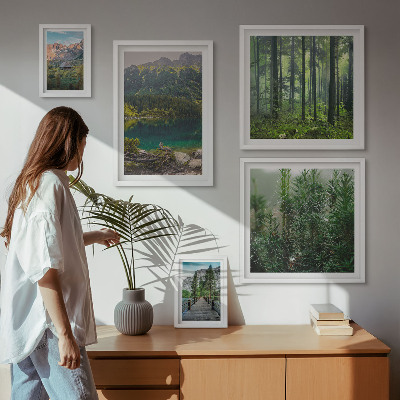 Gallery wall Mountain landscapes and forests