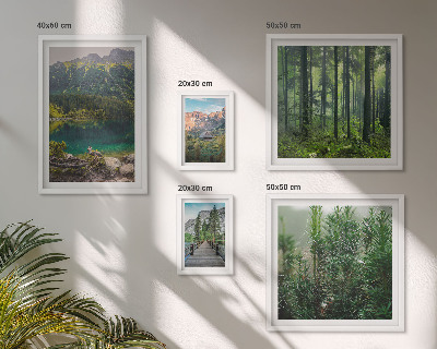 Gallery wall Mountain landscapes and forests