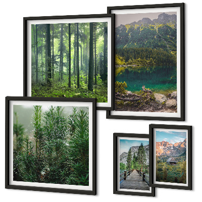 Gallery wall Mountain landscapes and forests
