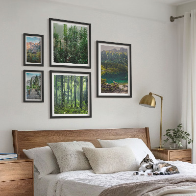 Gallery wall Mountain landscapes and forests
