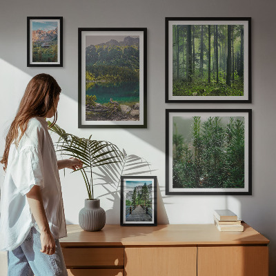 Gallery wall Mountain landscapes and forests