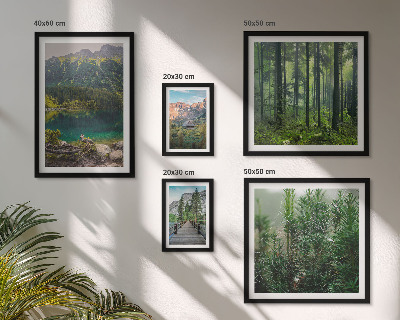 Gallery wall Mountain landscapes and forests