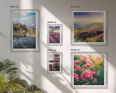 Set of 5 wall art pieces Landscapes nature flowers mountains