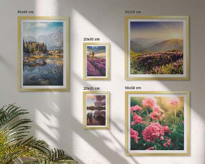 Set of 5 wall art pieces Landscapes nature flowers mountains